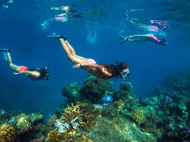 Drei Frauen beim Schnorcheln über einem lebendigen Korallenriff in klarem blauem Wasser.
